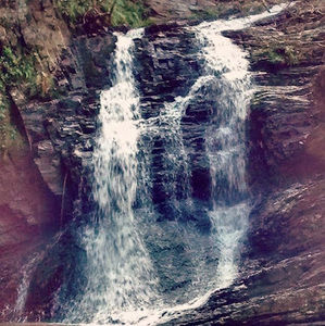 Meet your Posher, Chad